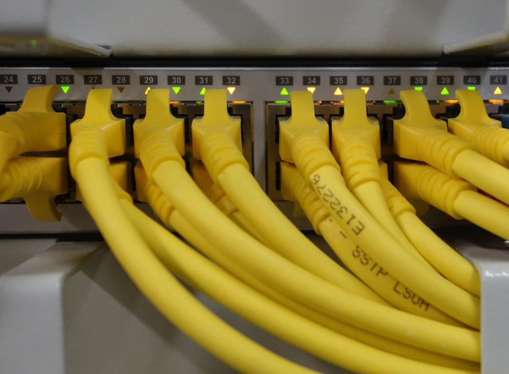 Picture of ethernet cables plugged into a network switch