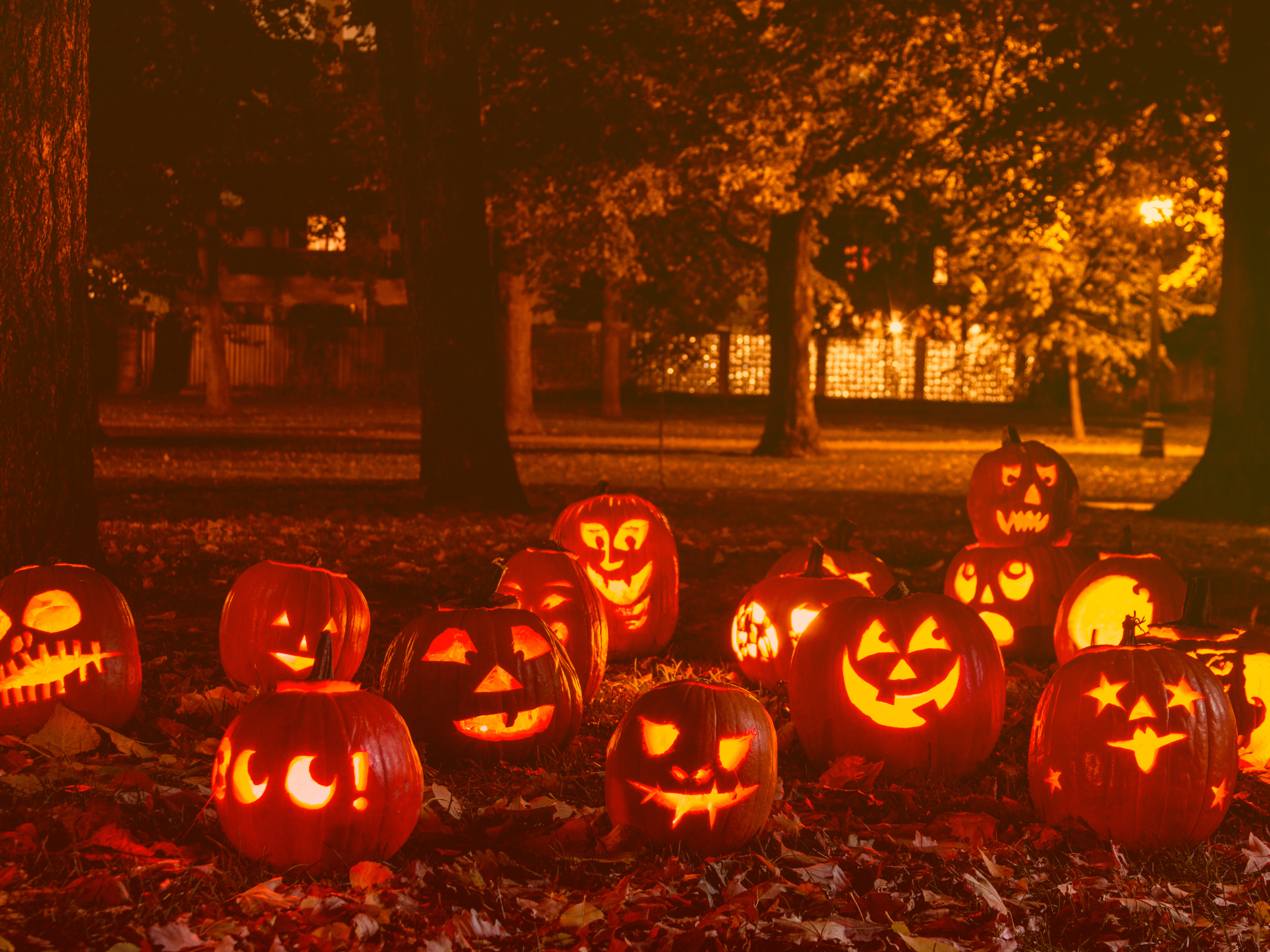 7 IT Horror Stories That Can Haunt Your Business